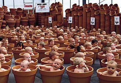 babyfactory
