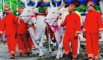 festival-ploughing