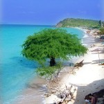 Koh-larn-2