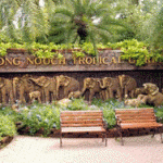 Тропический сад Нонг Нуч (Nong Nooch Tropical Garden) Тропический сад Нонг Нуч (Nong Nooch Tropical Garden)
