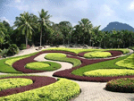 nong1a