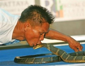 snakecharmerkj2
